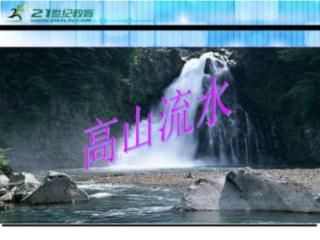 了解“雅阁王”到底值不值得买?它的优缺点是什么?最新动态,一站式红迪网平台分享
